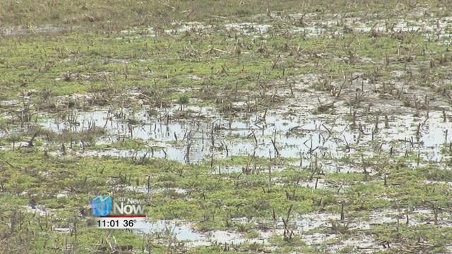 Recent rains may have negative effect on local farmers